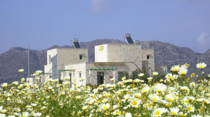 Stone-Villa-Sales-Hania